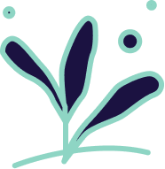 Plant illustration